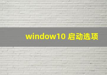 window10 启动选项